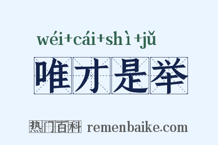 唯才是举是什么意思的图片